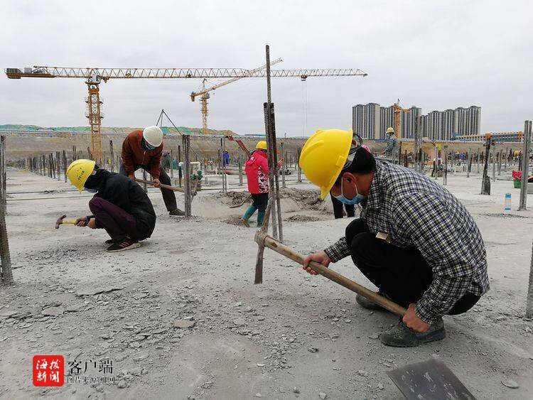 聚势赋能，破题用工难——海口秀英区‘联盟’模式引领企业建设新路径